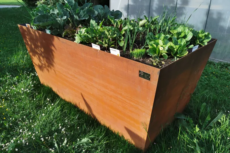 Cortenstahl Hochbeet mit Gemüse im Abendlicht