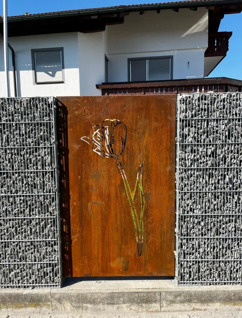 Sichtschutz Cortenstahl Tulpe in Gabionenzaun Nahaufnahme